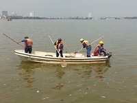 Hồ Tây:  Cá chết nổi lềnh bềnh, nồng nặc mùi hôi thối