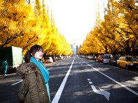 Cảnh sắc mùa thu với lá vàng, lá đỏ đẹp như tranh vẽ ở Tokyo