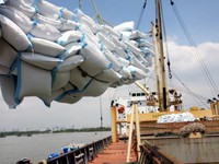 Thái Lan đấu giá 1,11 triệu tấn gạo