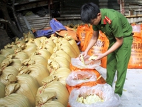 Lào Cai: Bắt giữ 10 tấn măng tươi ngâm hóa chất độc hại