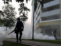 Số ca nhiễm virus Zika tại Singapore tăng lên 215 người