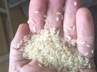 Phát hiện 2,5 tấn gạo nhựa nghi sản xuất ở Trung Quốc