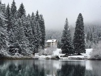 Núi rừng Thụy Sĩ đẹp mê hoặc trong những ngày lạnh giá