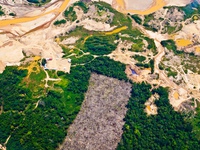 Peru: Khai thác vàng trái phép tàn phá nặng nề rừng mưa Amazon