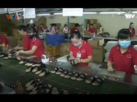 Giải quyết bài toán nguyên phụ liệu cho ngành da giày Việt Nam