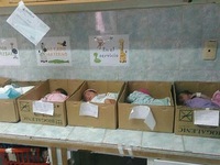 Tận cùng khủng hoảng ở Venezuela: Trẻ sơ sinh nằm trong hộp giấy