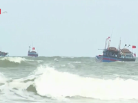 Ngư dân băn khoăn khi mua bảo hiểm tàu cá theo Nghị định 67