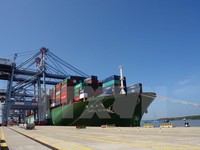Đẩy mạnh khả năng hoạt động của cảng Cái Mép - Thị Vải