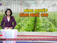 Gỡ 'nút thắt' về vốn cho nông nghiệp công nghệ cao tại Việt Nam