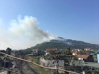 Cháy rừng keo ở thành phố Cẩm Phả, Quảng Ninh