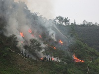 Nguy cơ cháy rừng ở các tỉnh miền núi phía Bắc