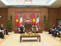 Thúc đẩy hợp tác giữa hai Quốc hội Việt Nam - Ireland