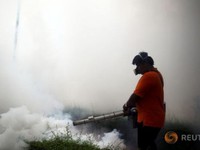 Thái Lan đứng trước nguy cơ bùng phát dịch Zika