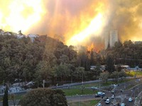 Cháy rừng dữ dội, khoảng 250.000 người dân Israel phải sơ tán