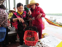 Người dân miền Trung lúng túng vì danh mục hải sản an toàn và không an toàn