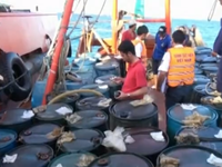 Kiên Giang: Bắt giữ tàu vận chuyển 50.000 lít dầu trái phép