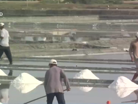 Chậm thu mua tạm trữ muối: Diêm dân gặp khó trong mùa mưa