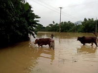 Hơn 4.000 hộ dân Quảng Bình ngập chìm trong lũ