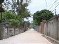 Nghệ An: Đường nông thôn mới vừa làm xong đã hỏng