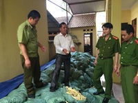 Phát hiện 22 tấn măng tẩm hóa chất độc hại tại Bắc Giang
