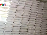 Nhiều thị trường lớn rút kế hoạch nhập khẩu gạo của Việt Nam