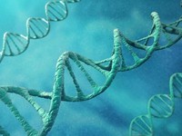 Phát minh liệu pháp gen để chữa bệnh mất trí nhớ