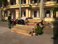 Quảng Trị: Phát hiện vụ vận chuyển 1,7 m3 gỗ hương lậu