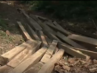 Phát hiện vụ khai thác gỗ trái phép tại rừng đầu nguồn ở Nghệ An