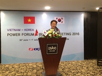 VN, Korea to boost electrical ties