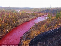 Dòng sông bất ngờ chuyển màu đỏ như máu tại Siberia!