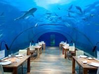 Khám phá đại dương từ những nhà hàng dưới nước độc đáo