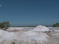 Nhức nhối tình trạng khai thác cát, tàn phá môi trường ở TT-Huế