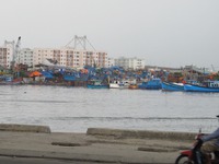 Đà Nẵng: Lập tổ giám sát xử lý ô nhiễm tại âu thuyền Thọ Quang