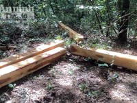 Đăk Lăk: Bắt 3 đối tượng khai thác gỗ trái phép trong khu bảo tồn