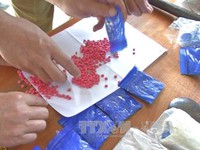 Bắt vụ vận chuyển 12.000 viên ma túy tổng hợp tại Thanh Hóa