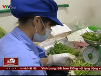 Quy trình sản xuất thực phẩm sạch online gây sốt trên thị trường
