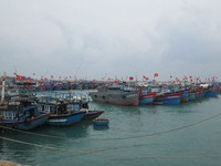 Phú Yên, Bình Định: Kêu gọi tàu thuyền tránh trú áp thấp nhiệt đới