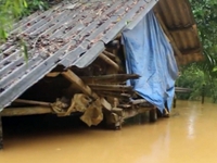 Mưa lũ gây thiệt hại nặng nề về nông nghiệp tại Hà Tĩnh