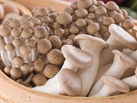 Sau hoa quả, các loại nấm Trung Quốc cũng bọc mác hàng Việt