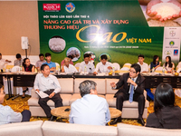 Nâng cao giá trị và xây dựng thương hiệu gạo Việt Nam