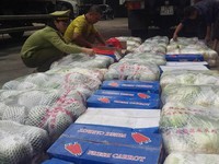 Nghệ An: Tiêu hủy hàng tấn rau quả nhập lậu từ Trung Quốc