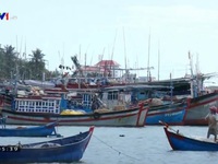 Hỗ trợ 100 kinh phí mua BHYT trong 3 năm cho ngư dân miền Trung