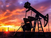 OPEC cắt giảm sản lượng khai thác dầu mỏ do chịu sức ép về tài chính?