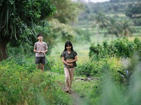 Phim Việt được mùa “săn” giải thưởng tại các LHP quốc tế
