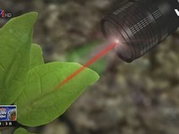 Công nghệ chế biến rau củ thành dụng cụ dò bom mìn