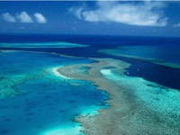 Rạn san hô Great Barrier Reef 'kêu cứu'