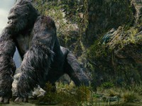 Vì sao đoàn làm phim “Kong: Skull Island” chọn Việt Nam để ghi hình?