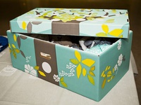 Bí mật chiếc hộp hạnh phúc cho trẻ sơ sinh ở Phần Lan