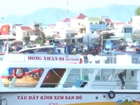 Ngư dân Khánh Hòa đầu tư tàu du lịch đáy kính
