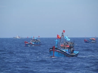 Quảng Trị: Nhiều ngư dân không có bảo hiểm tàu cá